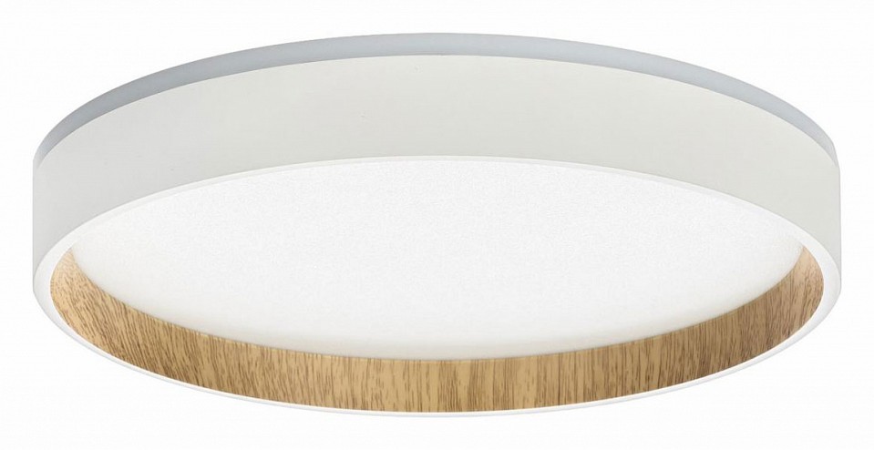 Светильник потолочный светодиодный Citilux Etalon CL750240