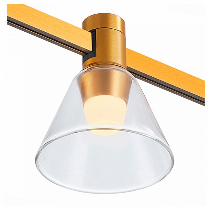 Трековый магнитный светодиодный светильник ST Luce Farm ST814.246.03