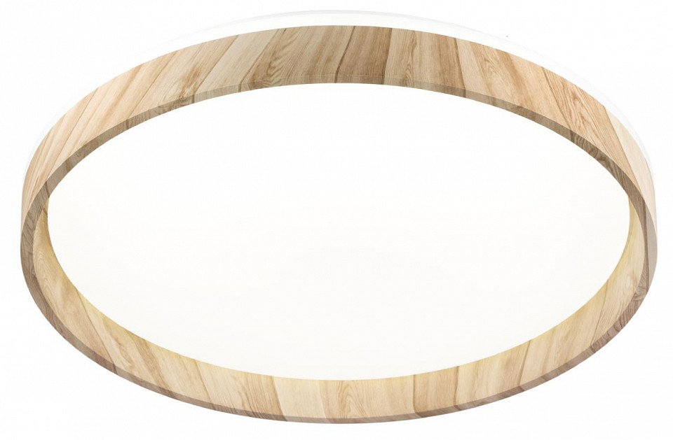 Светильник настенно-потолочный светодиодный Citilux ENZO CL753452G