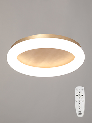 Светильник потолочный светодиодный Vitaluce V2538DT-8/1PL