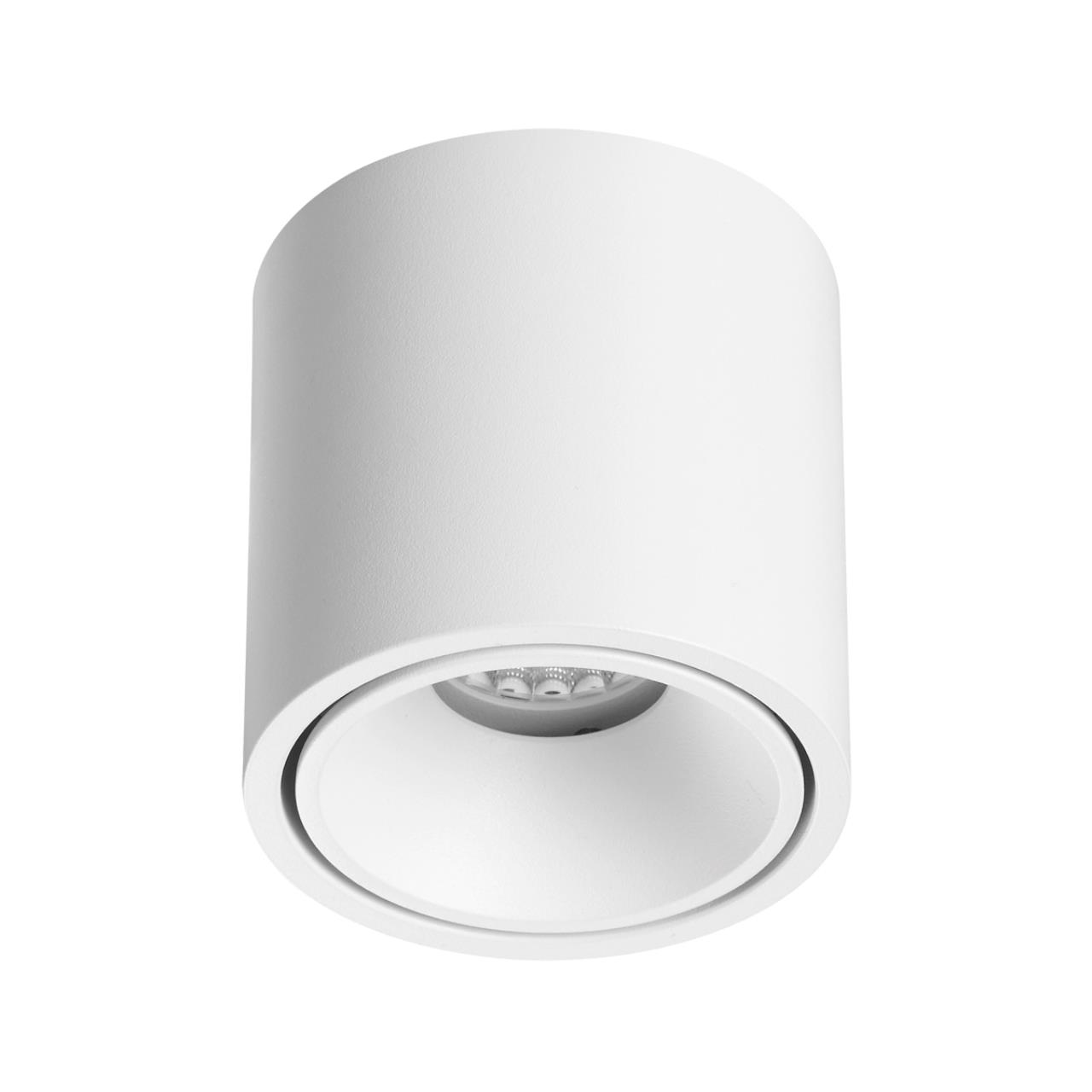 Светильник потолочный светодиодный Odeon Light REDO 6620/10CL