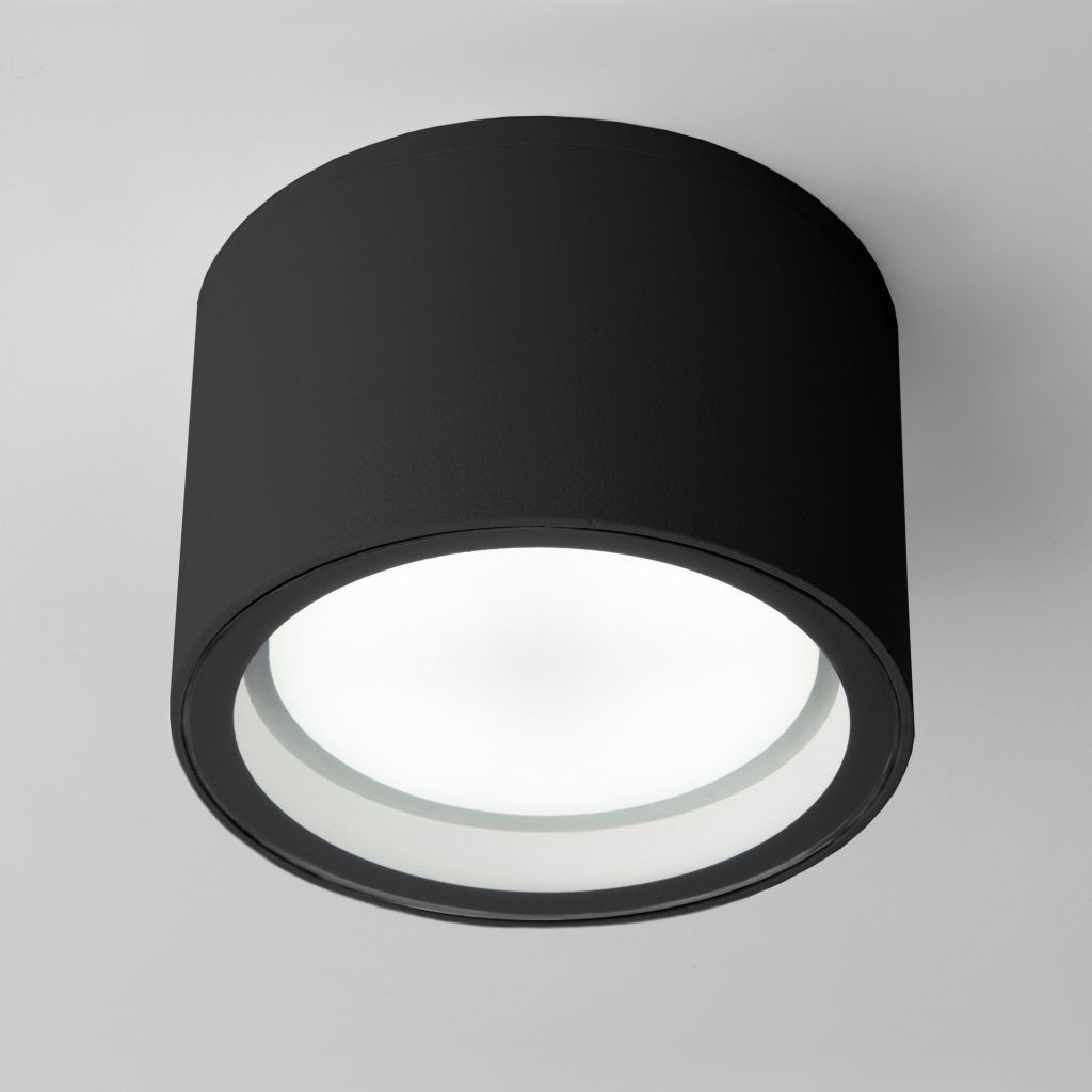 Уличный потолочный светильник Elektrostandard Light 35144/H a057868