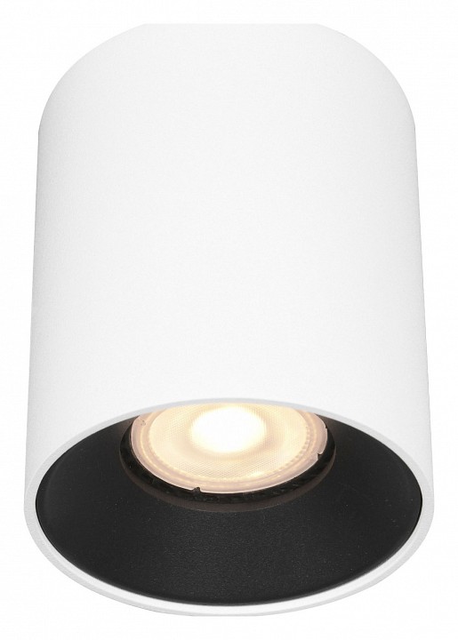 Светильник потолочный ST Luce ST167 ST167.542.01