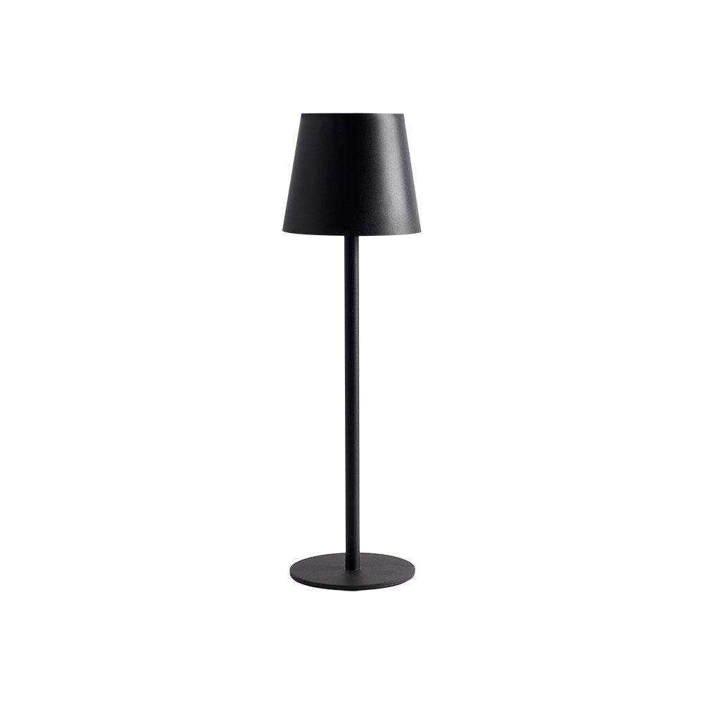 Уличный ландшафтный светодиодный светильник Arte Lamp FUYUE A1614LT-1BK