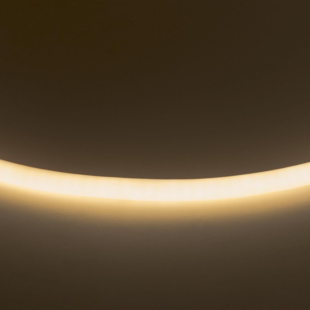 Светодиодная лента Lightstar Neoled 430202