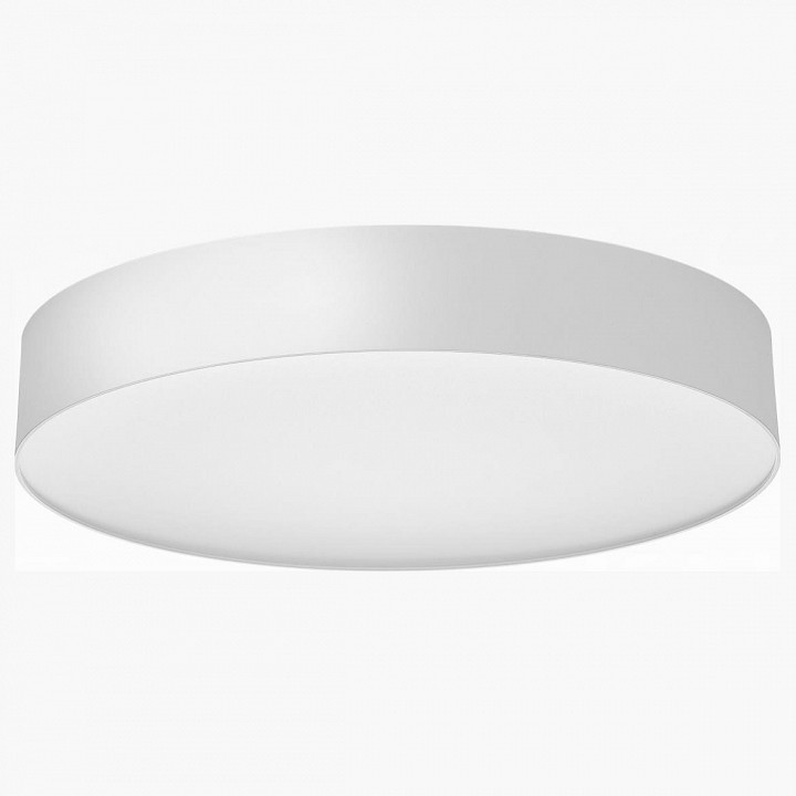 Светильник настенно-потолочный светодиодный Citilux BART CL755390