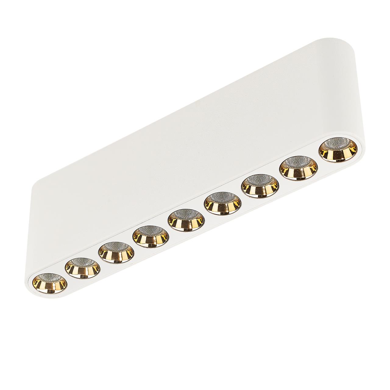 Светильник потолочный светодиодный Odeon Light SMALL 7091/21CL