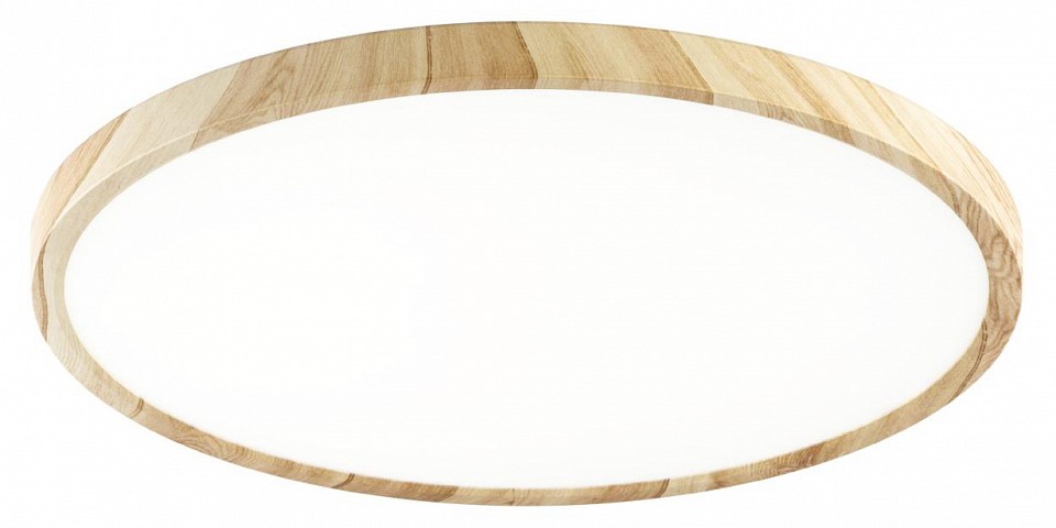 Светильник настенно-потолочный светодиодный Citilux Бейсик CL738322V