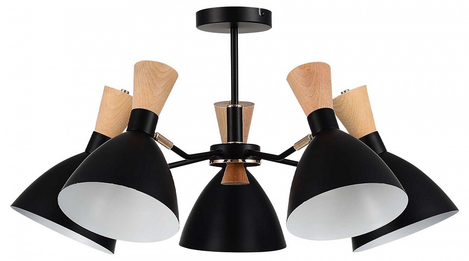 Люстра потолочная Evoluce VISTA SLE1256-402-05