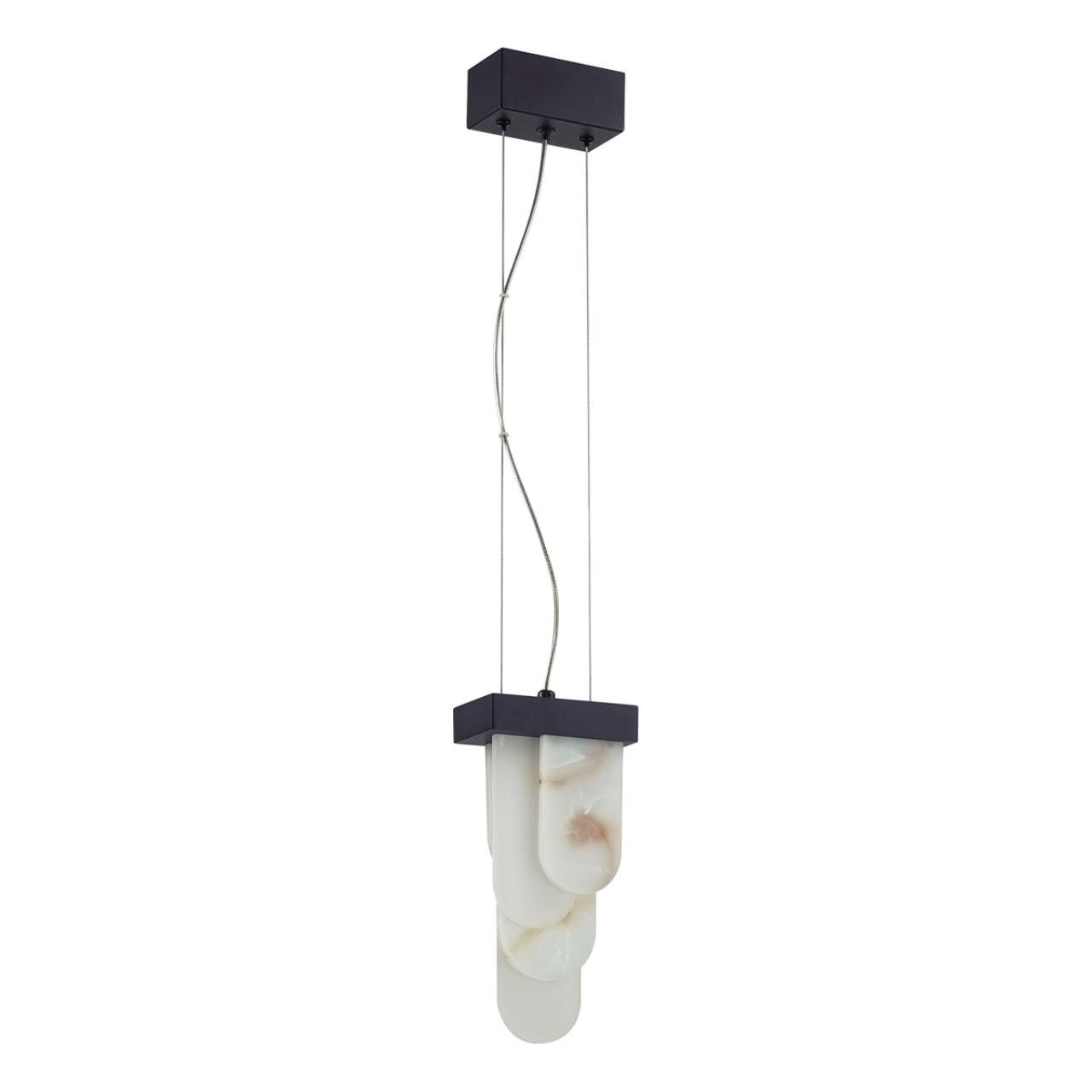 Светильник подвесной светодиодный Odeon Light FOROS 5438/12L