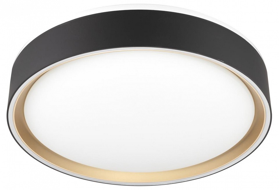 Светильник настенно-потолочный светодиодный Citilux BOSS CL751251G