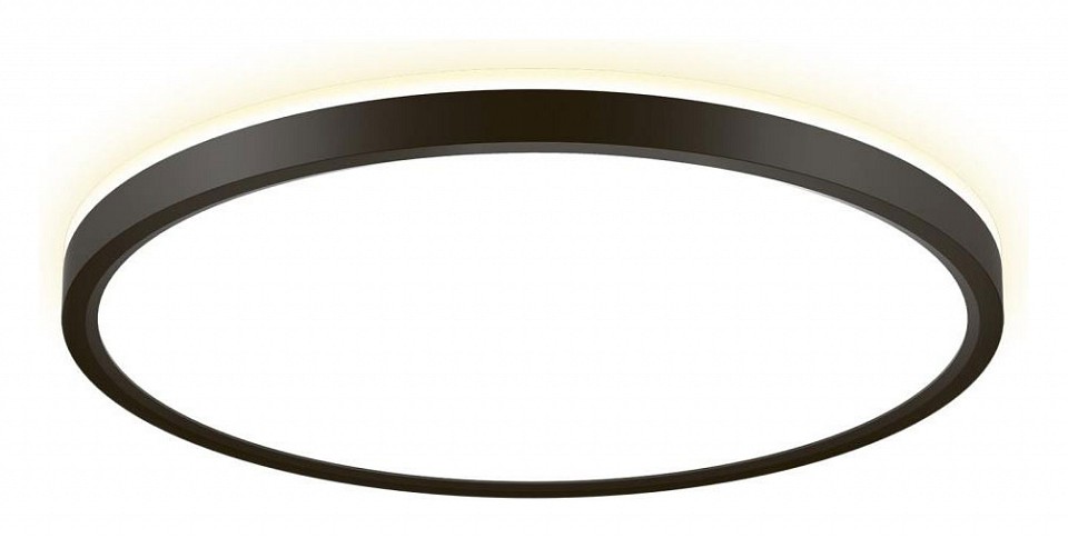 Светильник настенно-потолочный светодиодный Citilux NORMA CL748321