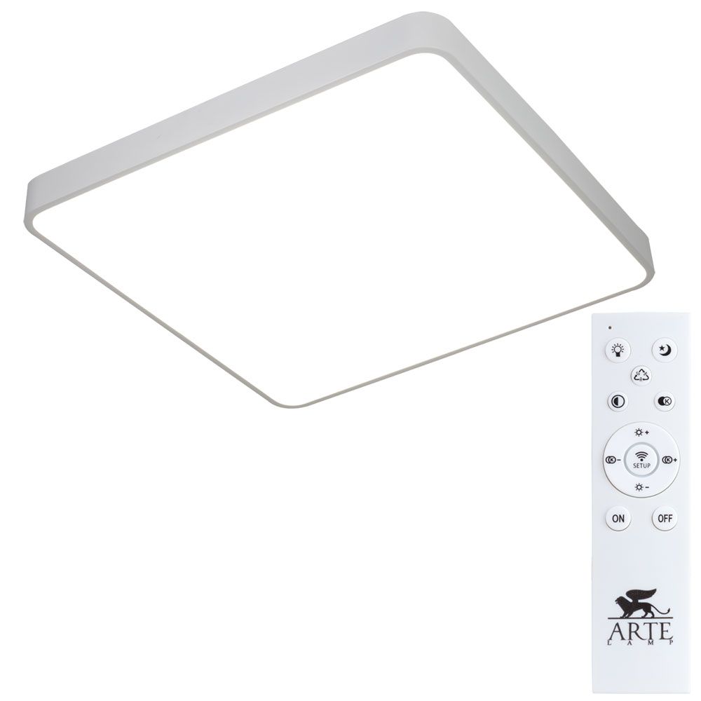 Настенно-потолочный светодиодный светильник Arte Lamp Scena A2669PL-1WH