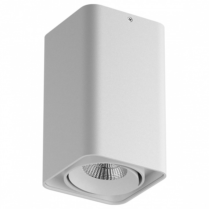 Уличный потолочный светодиодный светильник Lightstar Monocco 052336-IP65