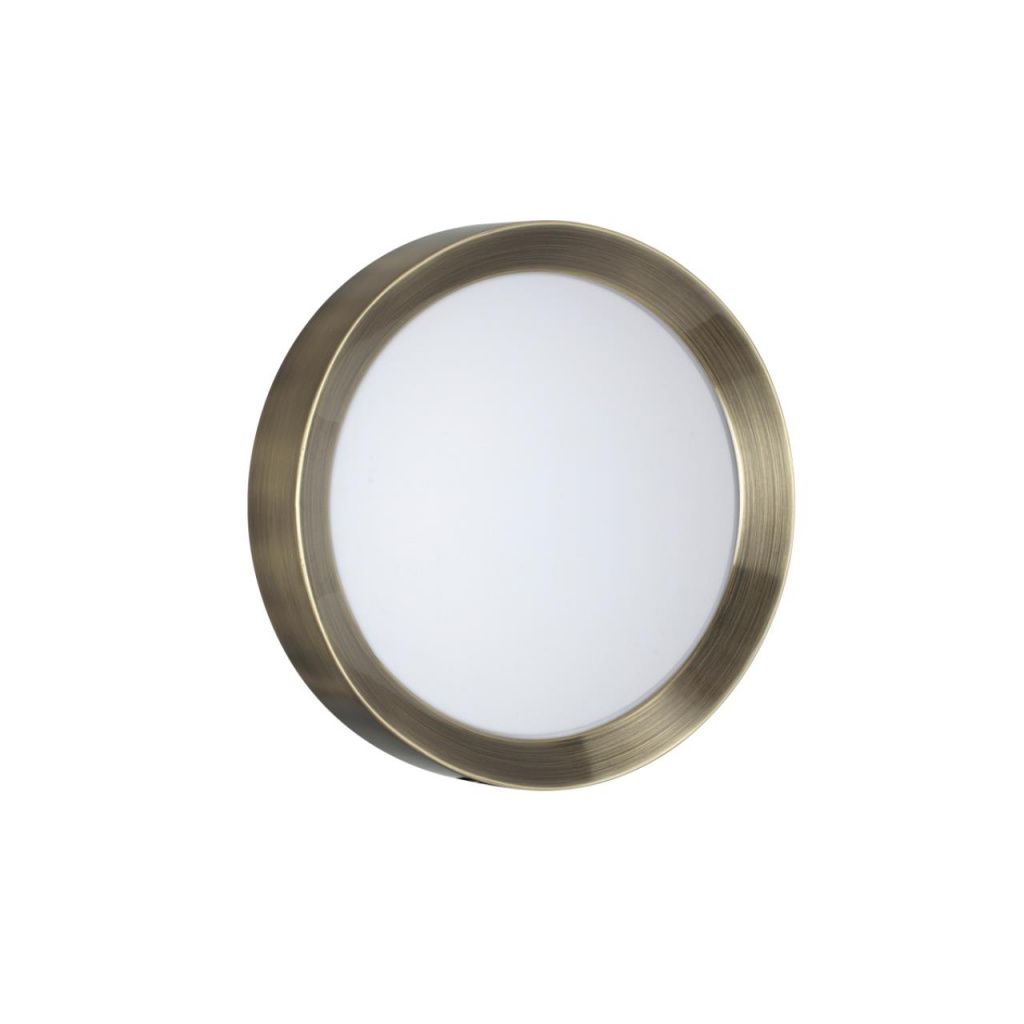 Настенно-потолочный светодиодный светильник Odeon Light Lunor 4948/30CL