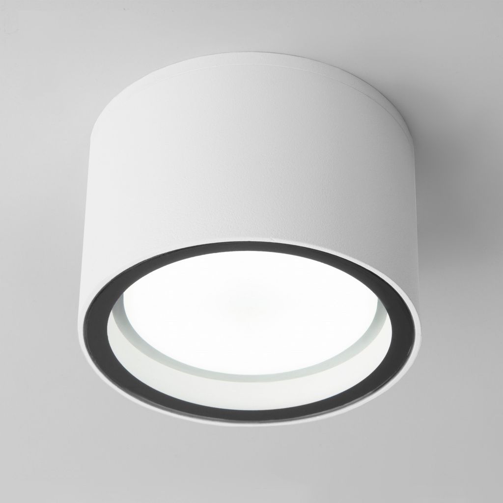 Уличный потолочный светильник Elektrostandard Light 35144/H a057867
