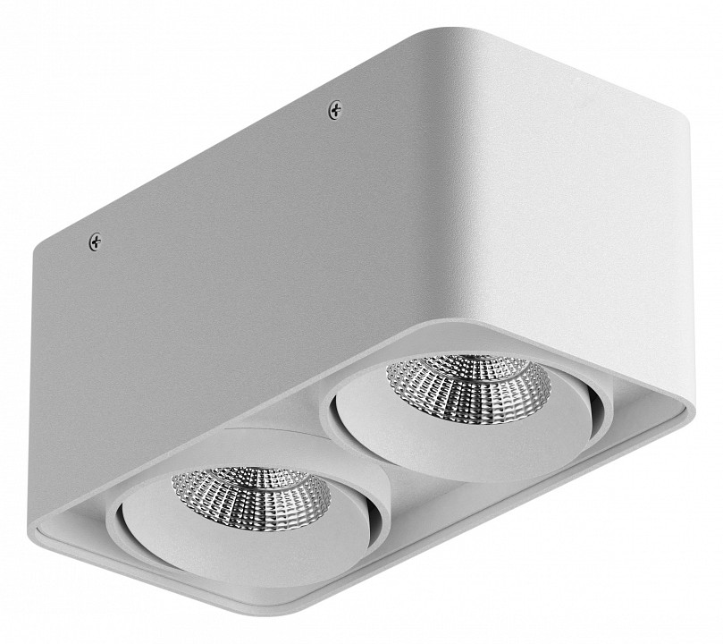 Светильник потолочный светодиодный Lightstar Monocco 052126-IP65