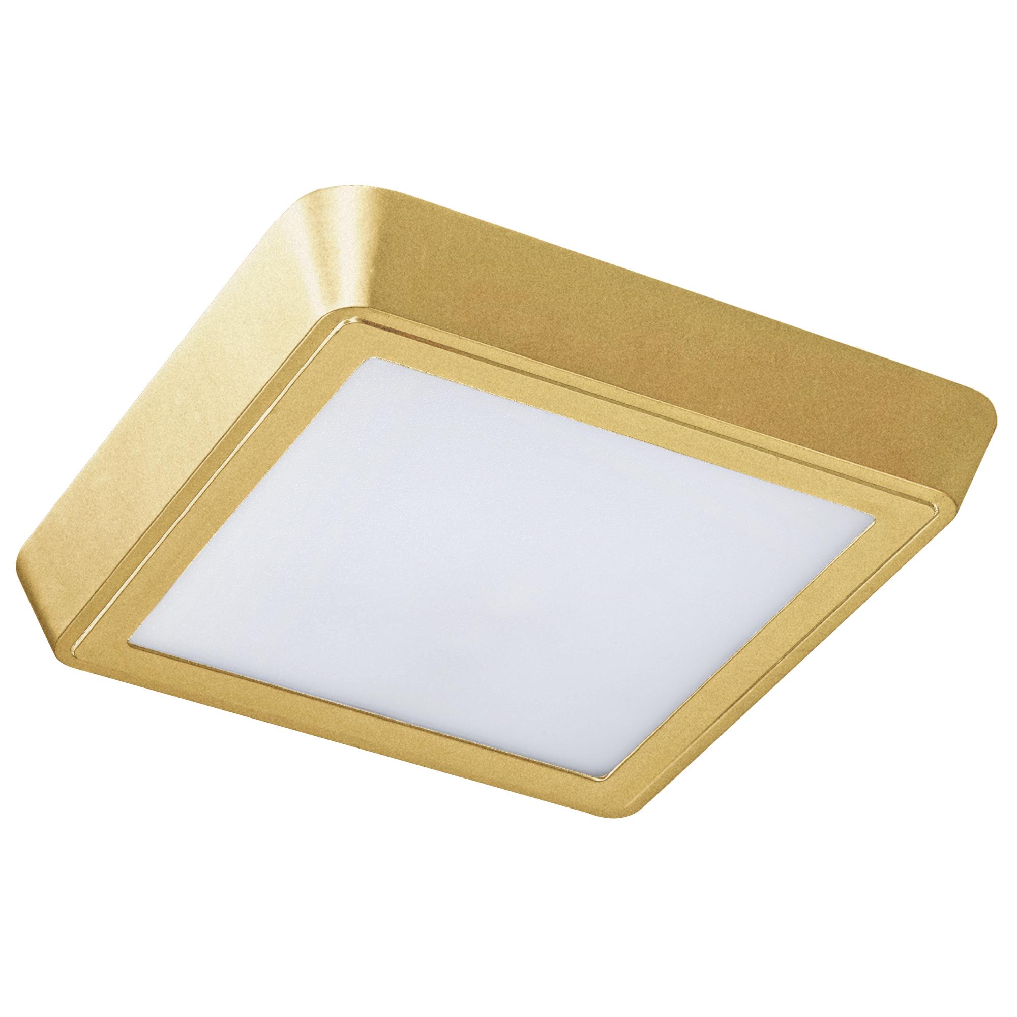 Светильник потолочный светодиодный Lightstar Urbano 216834