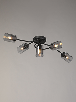 Люстра потолочная Vitaluce V2048-1/5PL