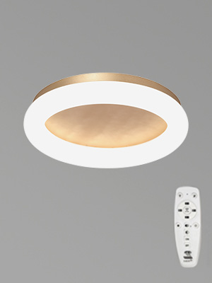 Светильник потолочный светодиодный Vitaluce V2537DT-8/1PL