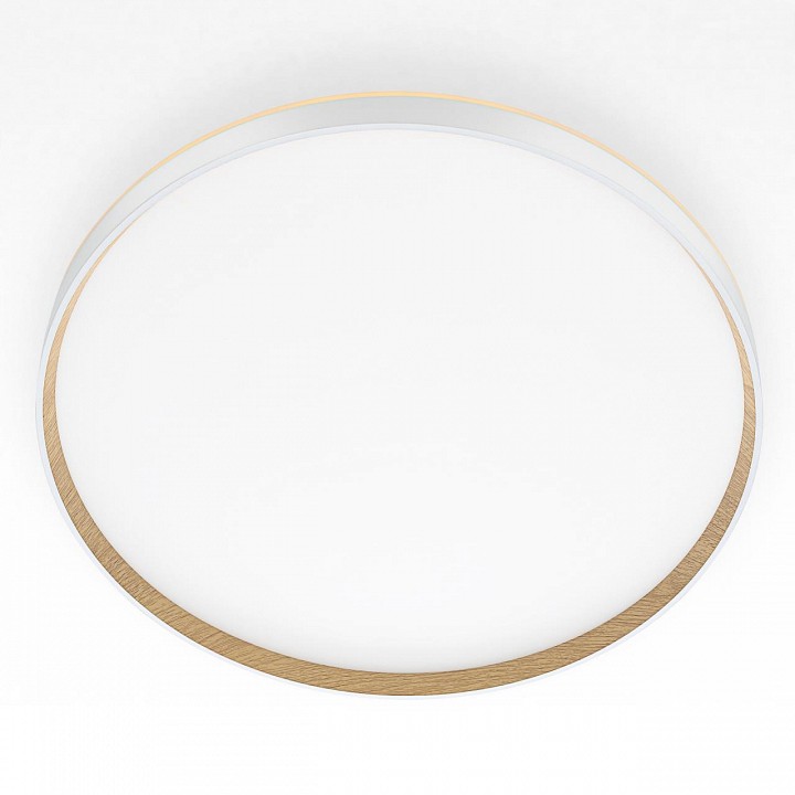 Светильник настенно-потолочный светодиодный Citilux ETALON CL750500R