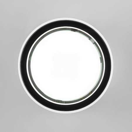 Уличный потолочный светильник Elektrostandard Light 35144/H a057867