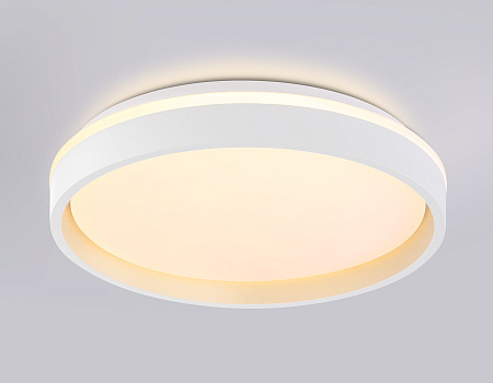 Светильник потолочный светодиодный Ambrella light FZ601