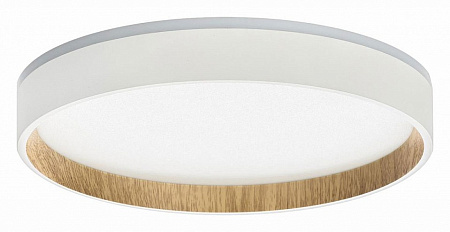 Светильник потолочный светодиодный Citilux Etalon CL750240