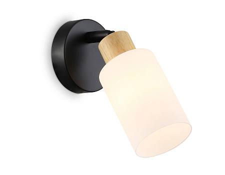 Спот Ambrella light TR8720