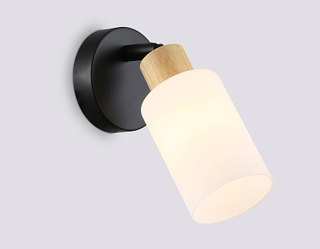 Спот Ambrella light TR8720