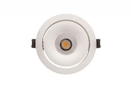 Встраиваемый светильник SWG PRO COMBO DL-FS-1006-38-W-12-WW
