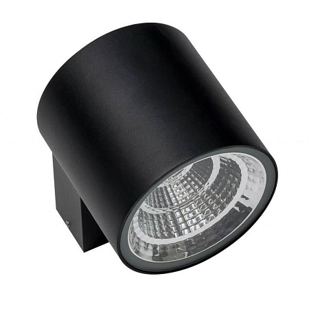 Уличный настенный светильник Lightstar Paro 361674