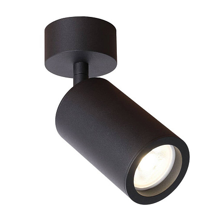 Спот Favourite Angularis 2805-1U Спот Favourite Angularis 2805-1U