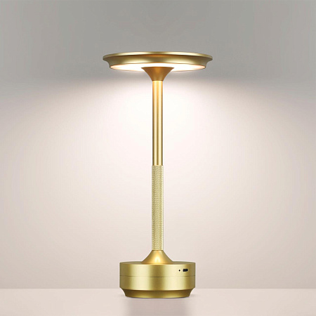 Настольная лампа светодиодная Odeon Light TET-A-TET 5033/6TL Настольная лампа светодиодная Odeon Light TET-A-TET 5033/6TL