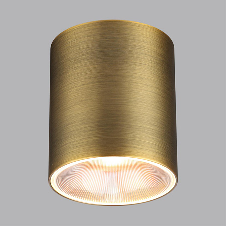 Светильник точечный потолочный светодиодный Odeon Light BRIM 7137/12CL