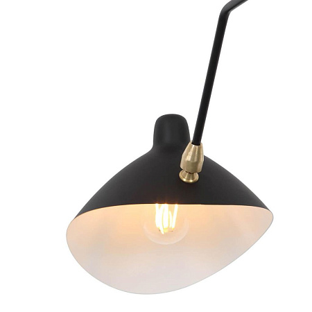 Потолочная люстра ST Luce Spruzzo SL305.402.06 Потолочная люстра ST Luce Spruzzo SL305.402.06