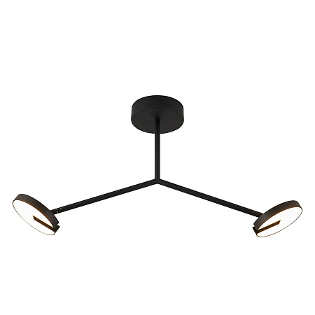 Люстра на штанге светодиодная Favourite Paritet 4401-2C