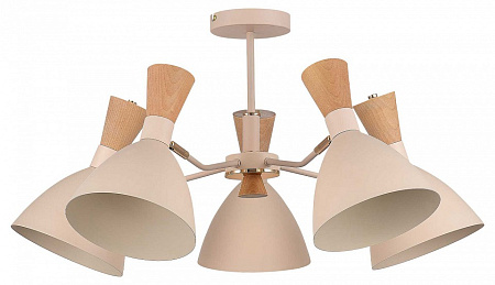 Люстра потолочная Evoluce VISTA SLE1256-502-05 Люстра потолочная Evoluce VISTA SLE1256-502-05