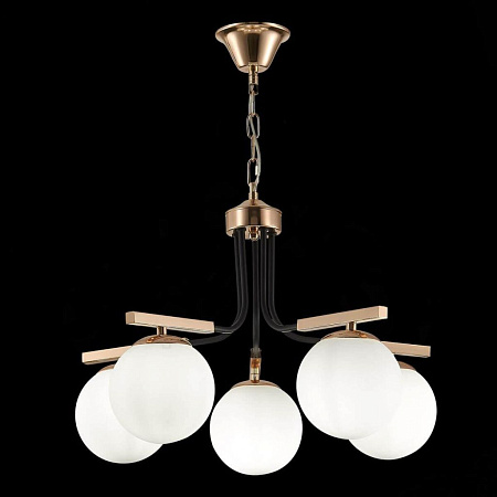 Подвесная люстра Evoluce Sonco SLE106803-05 Подвесная люстра Evoluce Sonco SLE106803-05