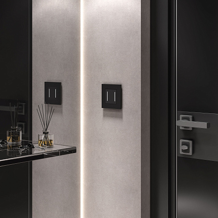 Сенсорный выключатель двухклавишный с подсветкой Werkel черный W4522008 Сенсорный выключатель двухклавишный с подсветкой Werkel черный W4522008