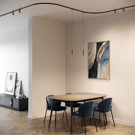 Шинопровод накладной Round Elektrostandard Mini Magnetic 85167/00 черный a067269