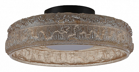 Светильник потолочный светодиодный ST Luce ANTIKE SL6143.422.01 Светильник потолочный светодиодный ST Luce ANTIKE SL6143.422.01