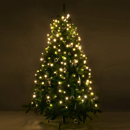 Гирлянда Eurosvet 200-003 200-003 теплый белый 0,45*1,5м IP20 a049838 Гирлянда Eurosvet 200-003 200-003 теплый белый 0,45*1,5м IP20 a049838