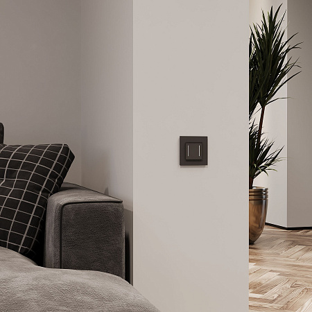 Сенсорный выключатель двухклавишный с подсветкой Werkel черный W4522008 Сенсорный выключатель двухклавишный с подсветкой Werkel черный W4522008