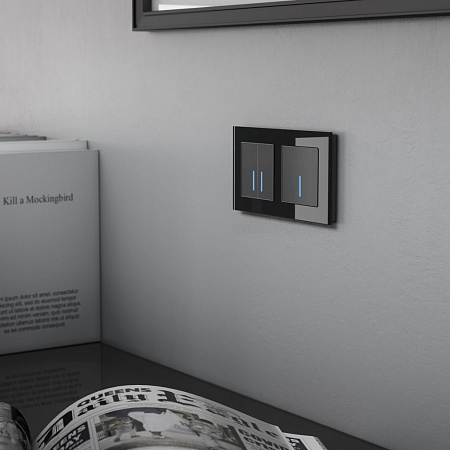 Сенсорный выключатель двухклавишный с функцией Wi-Fi Werkel a048327 a048327 Сенсорный выключатель двухклавишный с функцией Wi-Fi Werkel a048327 a048327