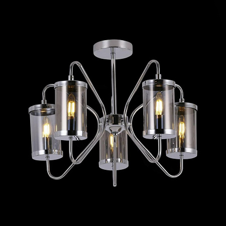 Потолочная люстра EVOLUCE VALIERI SLE102302-05