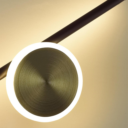 Светильник настенный светодиодный Odeon Light SMALL 6601/24WL