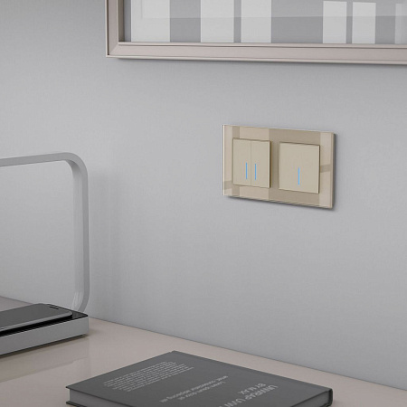 Сенсорный выключатель двухклавишный с подсветкой 1000 Вт Werkel W4520011 a057683 Сенсорный выключатель двухклавишный с подсветкой 1000 Вт Werkel W4520011 a057683