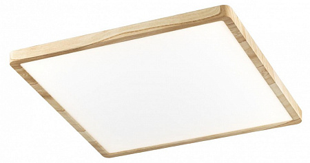 Светильник настенно-потолочный светодиодный Citilux Бейсик CL738K502V Светильник настенно-потолочный светодиодный Citilux Бейсик CL738K502V