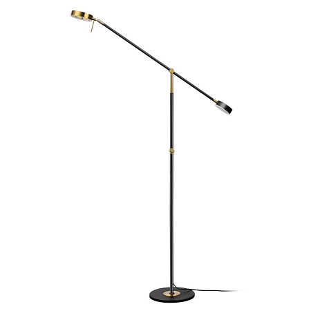 Торшер светодиодный Odeon Light DENZEL 4321/20FL